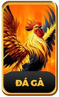 đá gà 8kbet logo